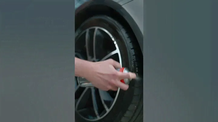 AQUA Platinum Tyre Shine Spray